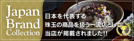 ジャパンブランドセレクション掲載